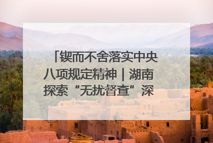 锲而不舍落实中央八项规定精神｜湖南探索“无扰督查”深化基层减负