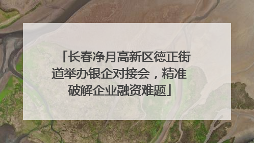 长春净月高新区德正街道举办银企对接会，精准破解企业融资难题