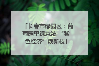 长春市绿园区：葡萄园里绿意浓 “紫色经济”焕新枝