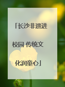 长沙非遗进校园 传统文化润童心