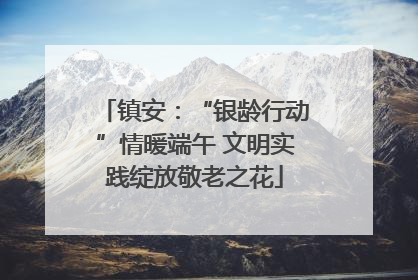 镇安：“银龄行动”情暖端午 文明实践绽放敬老之花