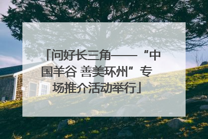 问好长三角——“中国羊谷 善美环州”专场推介活动举行