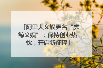 阿里大文娱更名“虎鲸文娱”：保持创业热忱，开启新征程