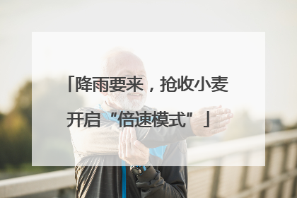 降雨要来，抢收小麦开启“倍速模式”