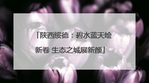 陕西绥德：碧水蓝天绘新卷 生态之城展新颜