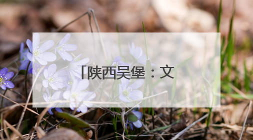 陕西吴堡：文旅融合奏响高质量发展新乐章