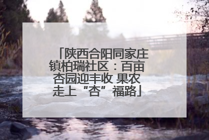 陕西合阳同家庄镇柏瑞社区：百亩杏园迎丰收 果农走上“杏”福路