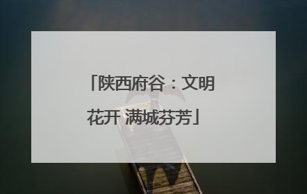 陕西府谷：文明花开 满城芬芳