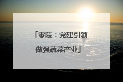 零陵：党建引领 做强蔬菜产业