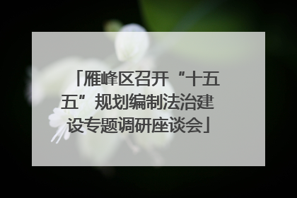 雁峰区召开“十五五”规划编制法治建设专题调研座谈会