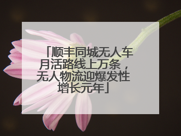 顺丰同城无人车月活路线上万条，无人物流迎爆发性增长元年