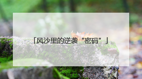 风沙里的逆袭“密码”