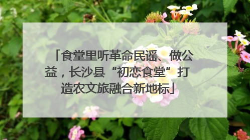 食堂里听革命民谣、做公益，长沙县“初恋食堂”打造农文旅融合新地标