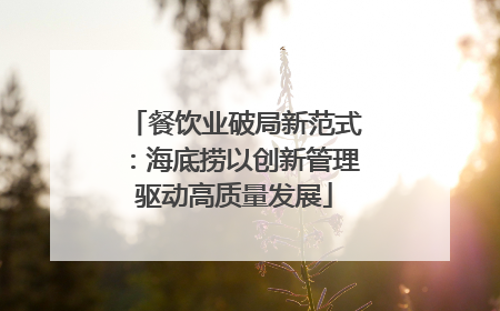 餐饮业破局新范式：海底捞以创新管理驱动高质量发展