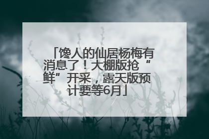 馋人的仙居杨梅有消息了！大棚版抢“鲜”开采，露天版预计要等6月