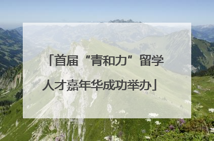首届“青和力”留学人才嘉年华成功举办