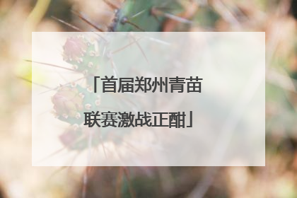 首届郑州青苗联赛激战正酣