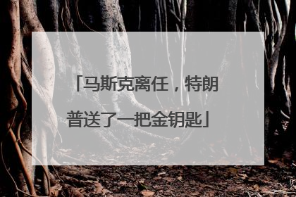 马斯克离任，特朗普送了一把金钥匙
