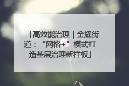 高效能治理｜金耀街道：“网格+”模式打造基层治理新样板