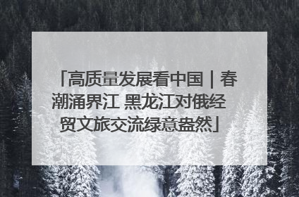 高质量发展看中国｜春潮涌界江 黑龙江对俄经贸文旅交流绿意盎然