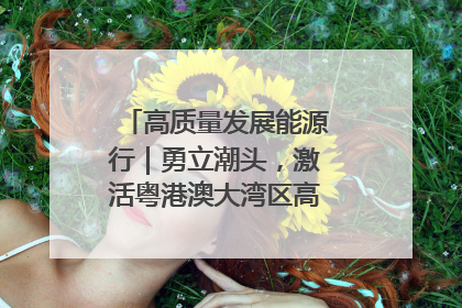 高质量发展能源行｜勇立潮头，激活粤港澳大湾区高质量发展动力源