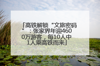 高铁解锁“文旅密码”：张家界年迎4600万游客，每10人中1人乘高铁而来