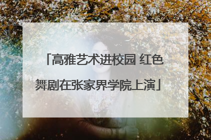 高雅艺术进校园 红色舞剧在张家界学院上演