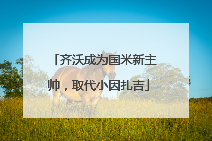 齐沃成为国米新主帅，取代小因扎吉