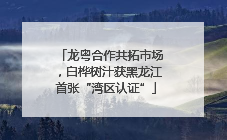 龙粤合作共拓市场，白桦树汁获黑龙江首张“湾区认证”