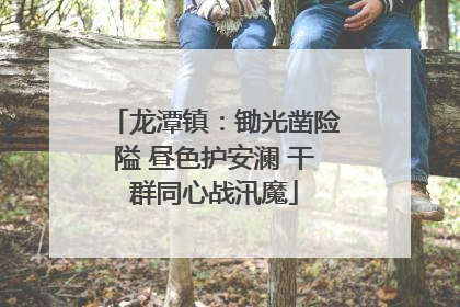 龙潭镇：锄光凿险隘 昼色护安澜 干群同心战汛魔