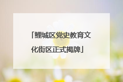 鲤城区党史教育文化街区正式揭牌