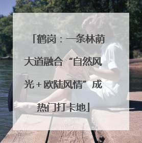鹤岗：一条林荫大道融合“自然风光＋欧陆风情”成热门打卡地