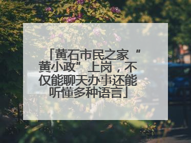 黄石市民之家“黄小政”上岗，不仅能聊天办事还能听懂多种语言