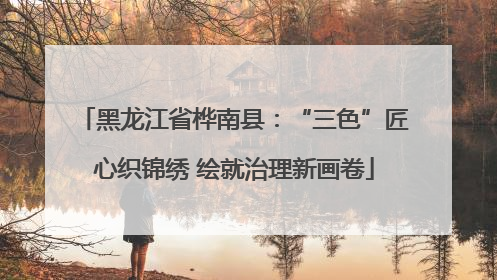 黑龙江省桦南县：“三色”匠心织锦绣 绘就治理新画卷