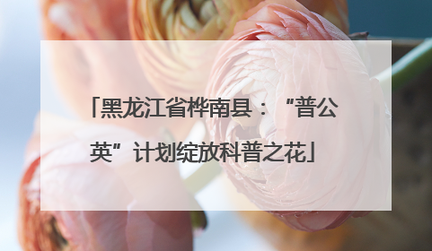 黑龙江省桦南县：“普公英”计划绽放科普之花
