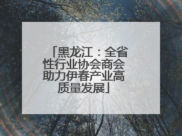 黑龙江：全省性行业协会商会助力伊春产业高质量发展