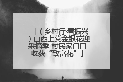 （乡村行·看振兴）山西上党金银花迎采摘季 村民家门口收获“致富花”