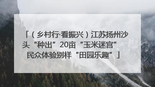 （乡村行·看振兴）江苏扬州沙头“种出”20亩“玉米迷宫” 民众体验别样“田园乐趣”