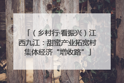 （乡村行·看振兴）江西九江：甜蜜产业拓宽村集体经济“增收路”