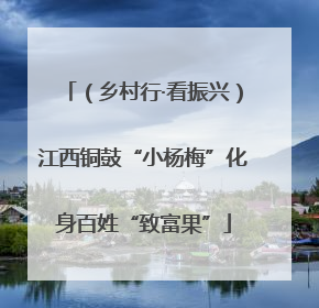 （乡村行·看振兴）江西铜鼓“小杨梅”化身百姓“致富果”