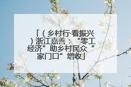 （乡村行·看振兴）浙江嘉善：“零工经济”助乡村民众“家门口”增收