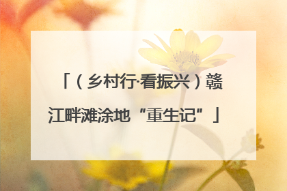 （乡村行·看振兴）赣江畔滩涂地“重生记”
