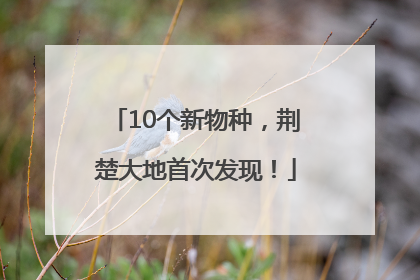 10个新物种，荆楚大地首次发现！