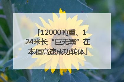 12000吨重、124米长“巨无霸”在本桓高速成功转体