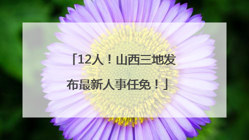 12人！山西三地发布最新人事任免！