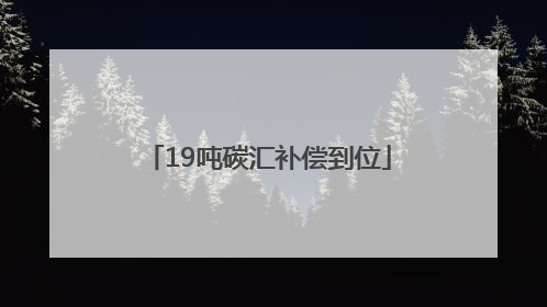 19吨碳汇补偿到位
