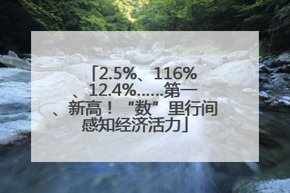 2.5%、116%、12.4%……第一、新高！“数”里行间感知经济活力