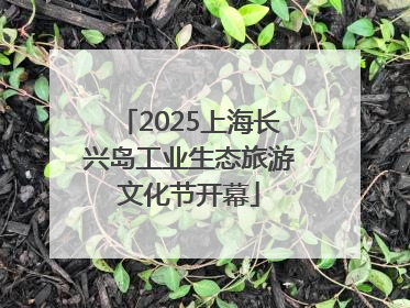 2025上海长兴岛工业生态旅游文化节开幕