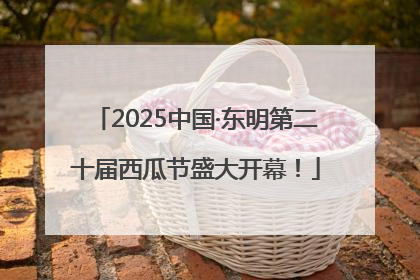 2025中国·东明第二十届西瓜节盛大开幕！