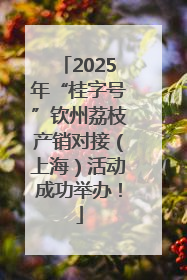2025年“桂字号”钦州荔枝产销对接（上海）活动成功举办！